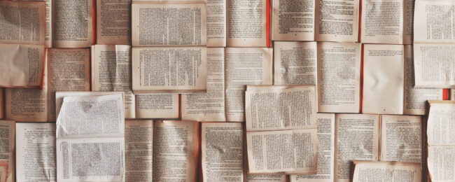 header ARTICOLI